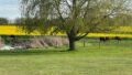Ausblick