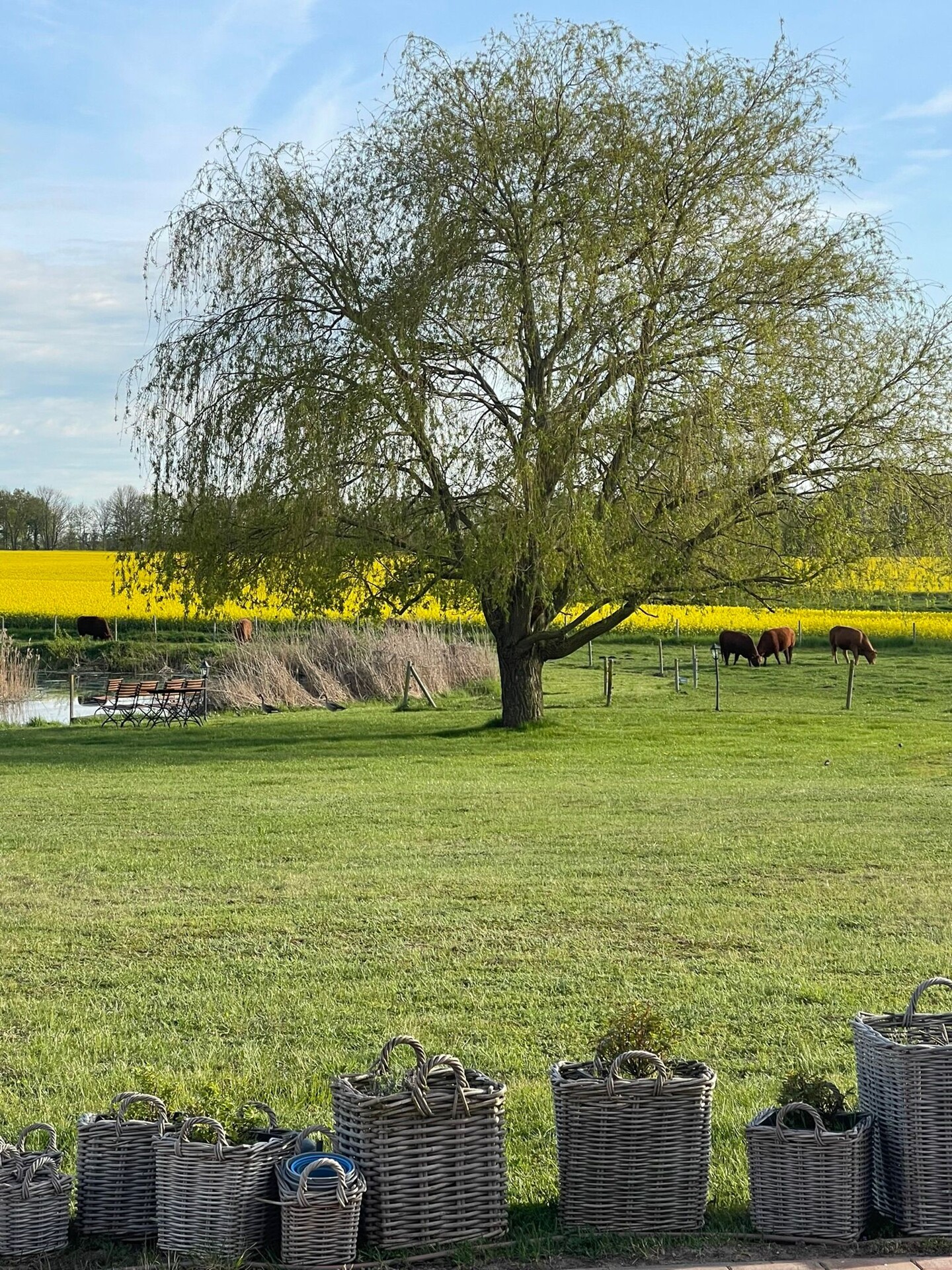 Ausblick