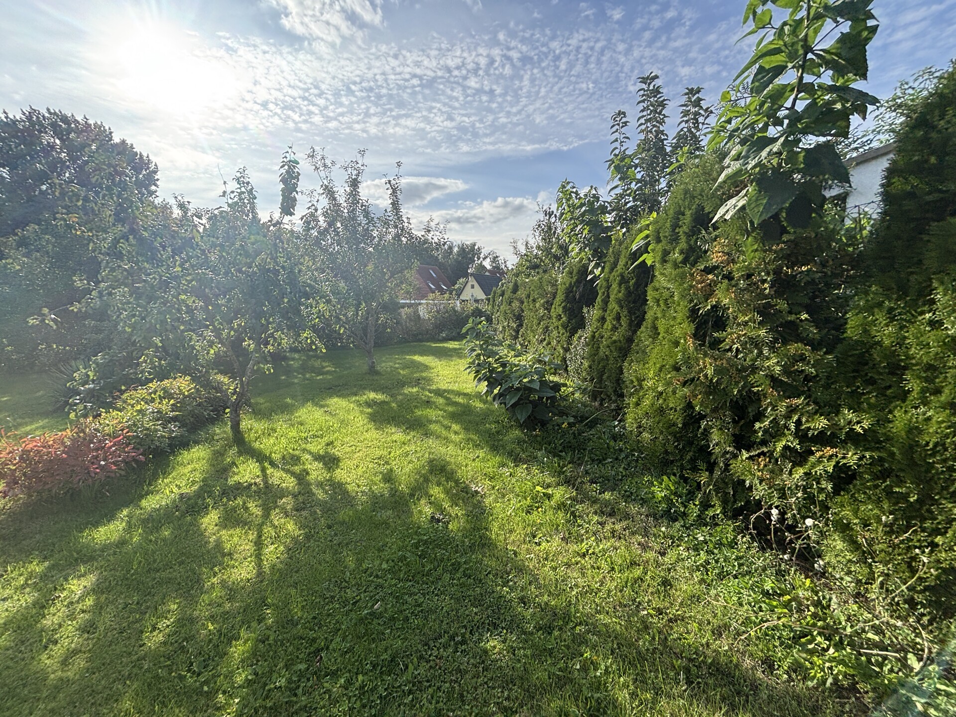 Obstgarten